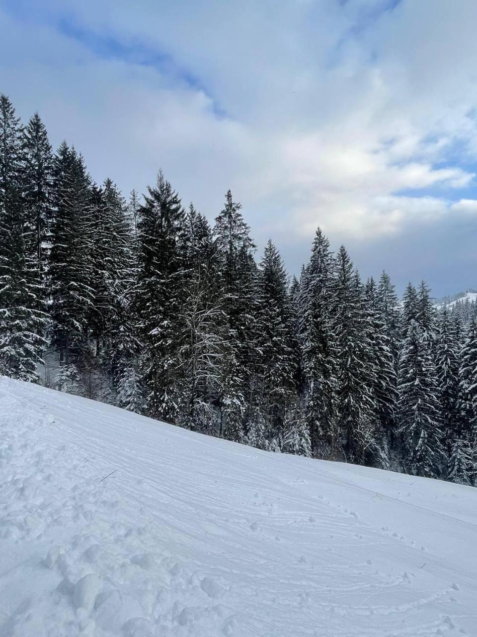Kazka Aparthotel Яблуниця Екстериор снимка