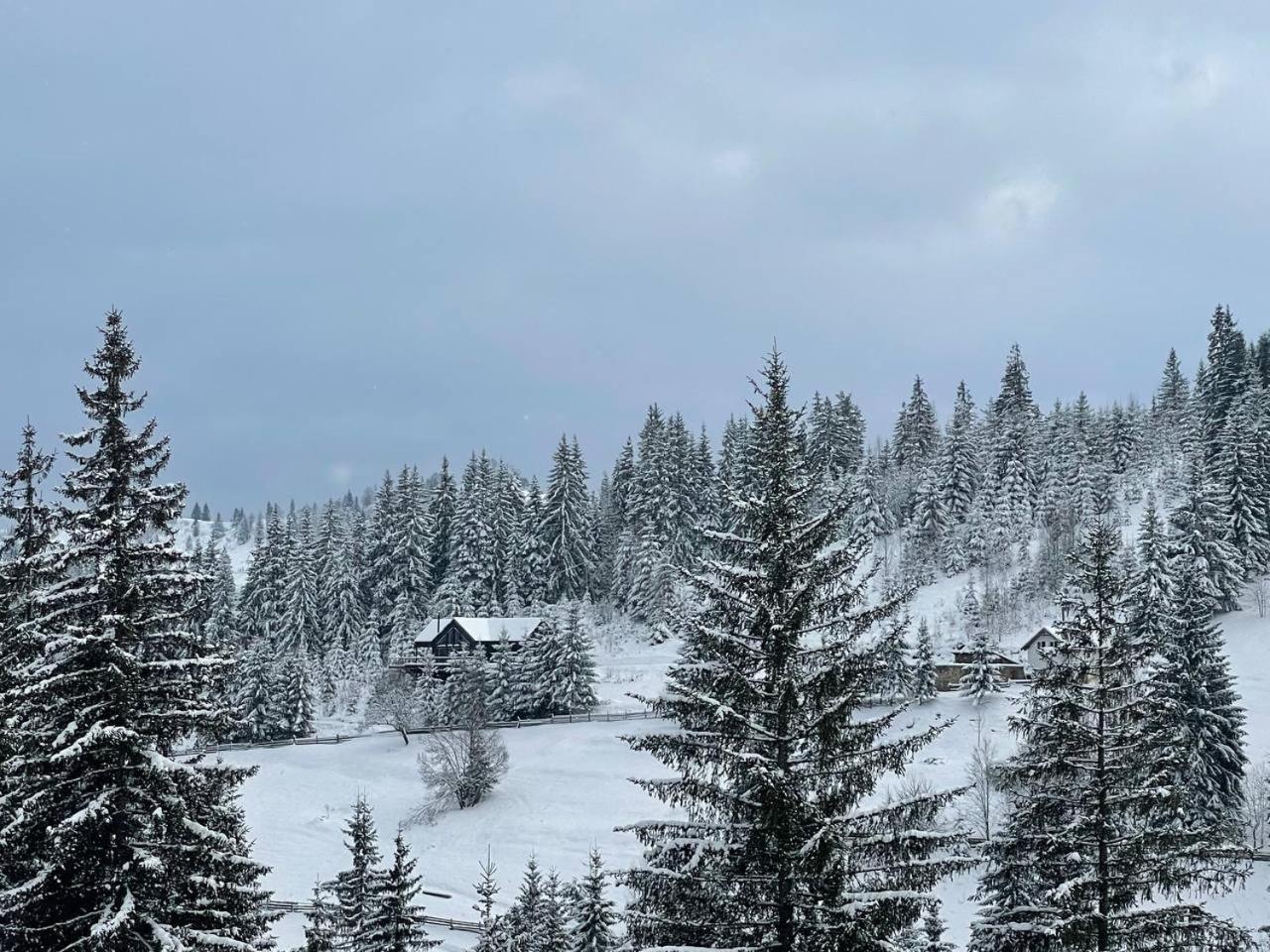 Kazka Aparthotel Яблуниця Екстериор снимка
